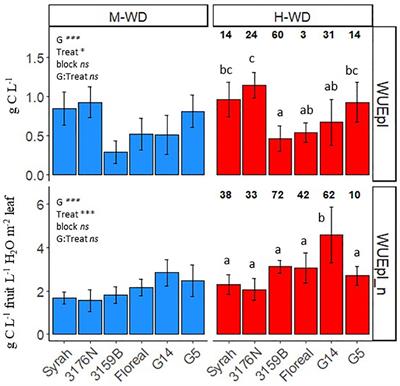 Water deficit differentially modulates leaf photosynthesis and transpiration of fungus-tolerant Muscadinia x Vitis hybrids